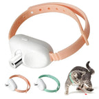 LED Cat Collar with Laser Light – Interactive Glowing Necklace for Cats